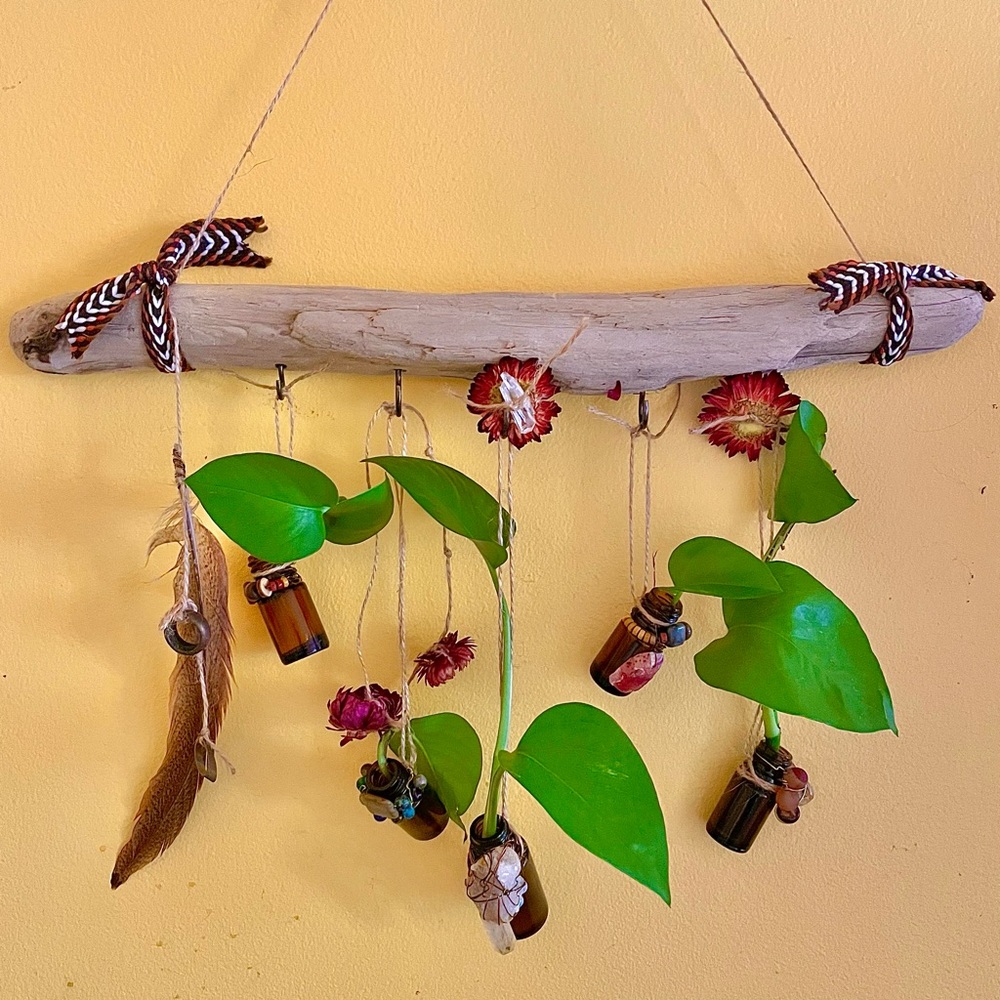 Handmade Driftwood Propagation Station Wall Hanging